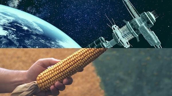 創(chuàng)意視頻制作